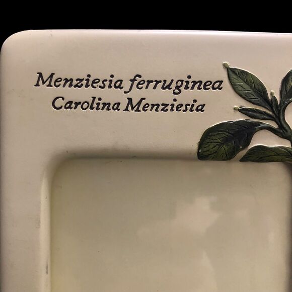 Vintage NOS Carr Picture Frame, Handpainted, Ceramic Floral, Butterfly’s, 4x6” - Picture 4 of 11